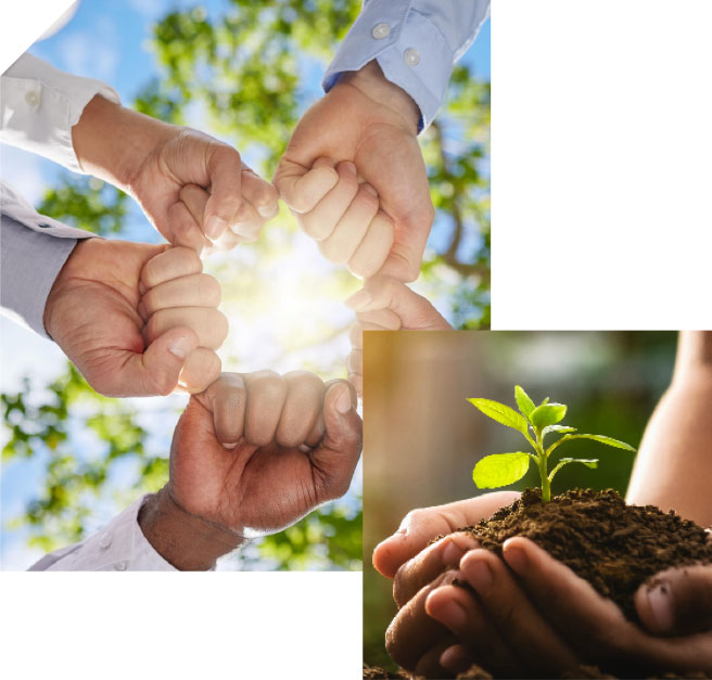 home-sustainability